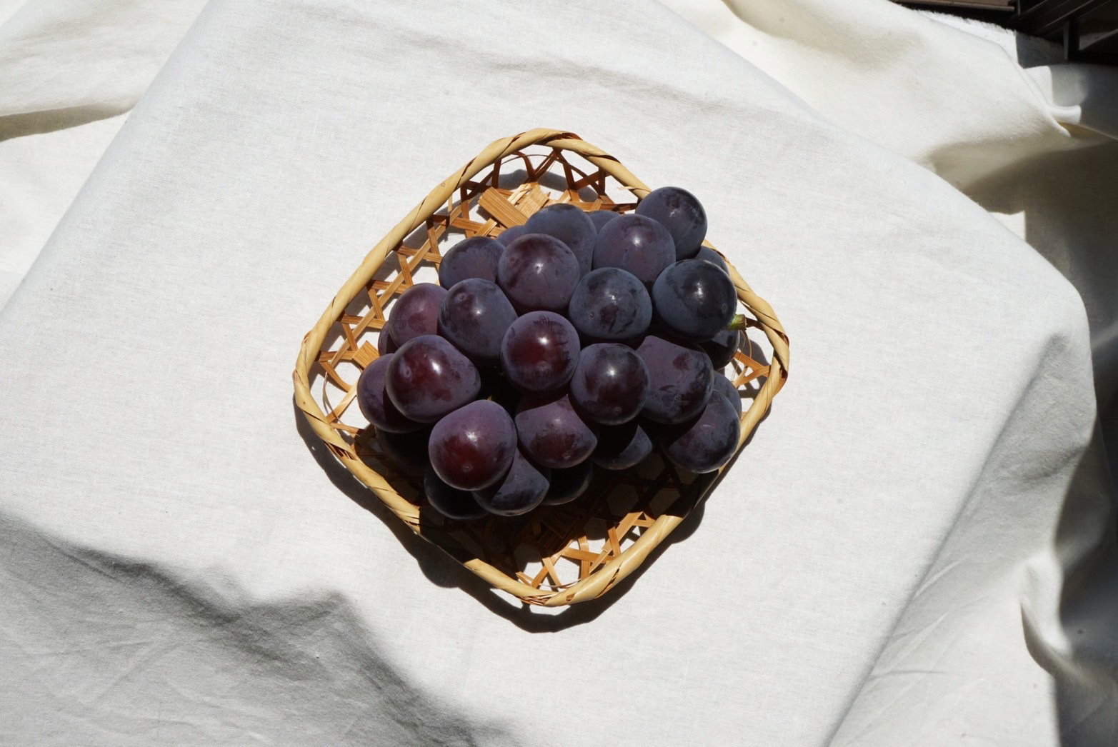 オーロラブラックの写真