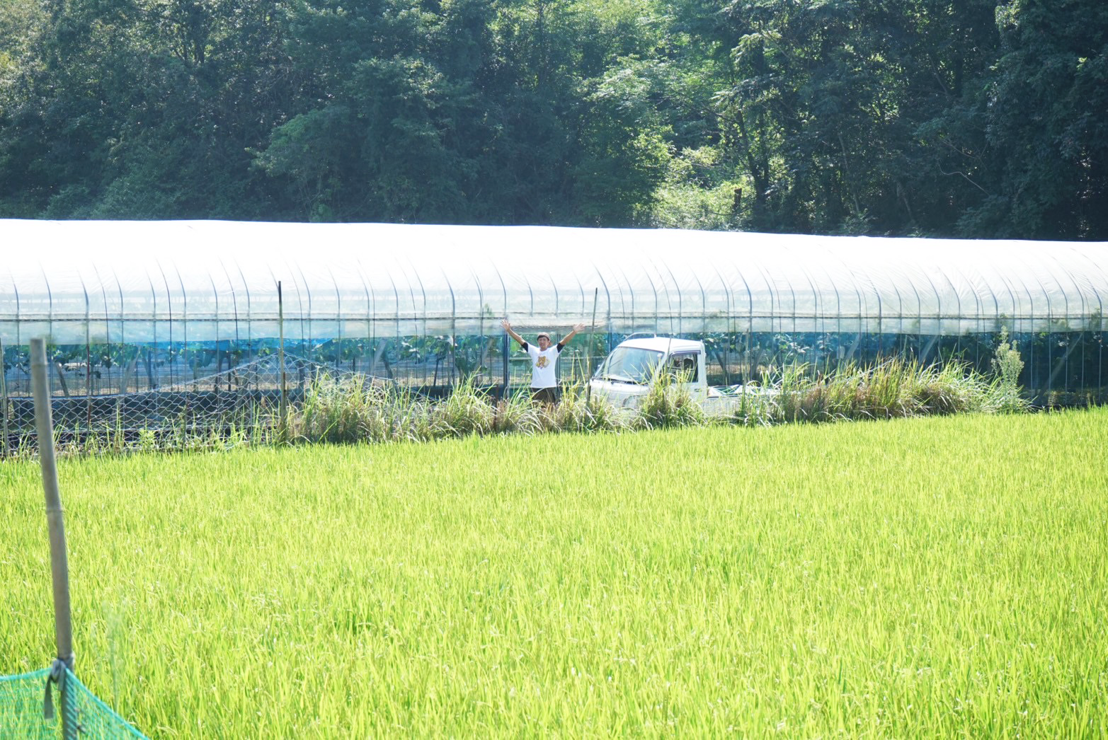葡萄ハウスの外と手を振っている宇田のみっちゃん